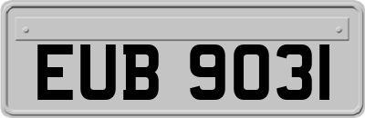 EUB9031