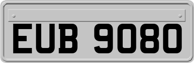 EUB9080