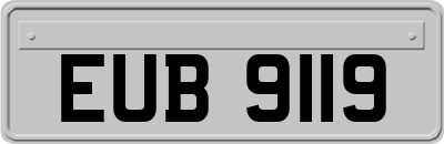 EUB9119