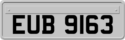 EUB9163