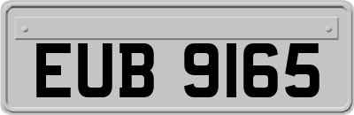 EUB9165