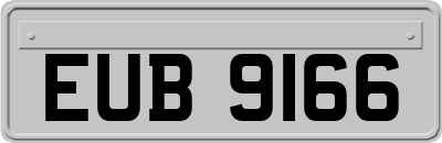 EUB9166