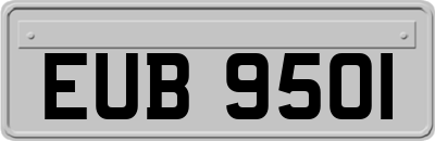 EUB9501
