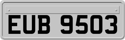 EUB9503