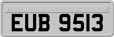 EUB9513