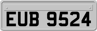 EUB9524