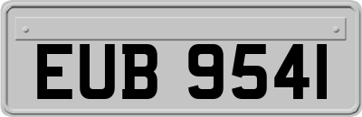 EUB9541