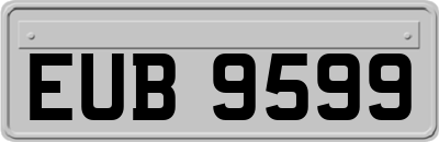 EUB9599