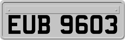 EUB9603