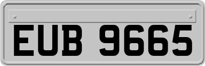 EUB9665
