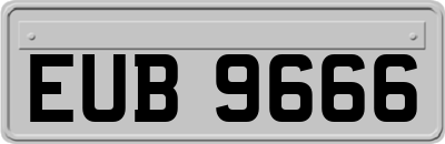 EUB9666