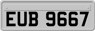 EUB9667
