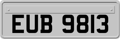 EUB9813