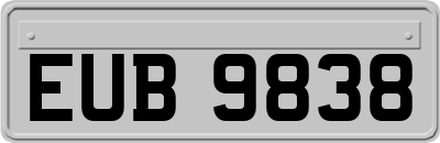 EUB9838