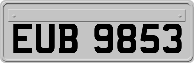 EUB9853