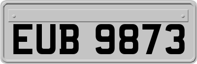 EUB9873