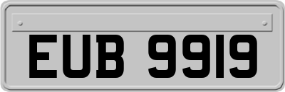 EUB9919