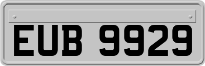 EUB9929
