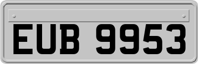 EUB9953