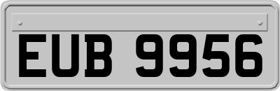 EUB9956
