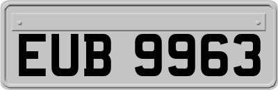 EUB9963