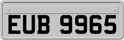 EUB9965