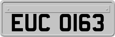 EUC0163