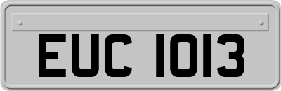 EUC1013