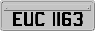 EUC1163
