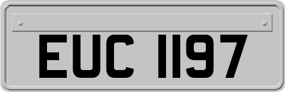 EUC1197