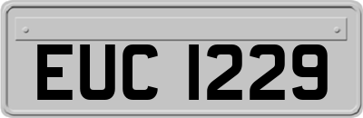 EUC1229