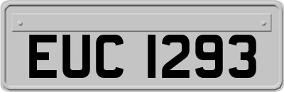 EUC1293