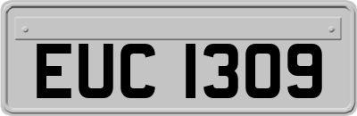 EUC1309