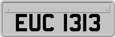 EUC1313