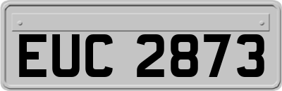 EUC2873