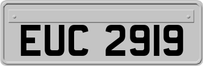 EUC2919