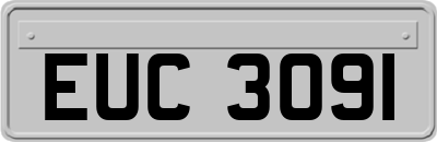 EUC3091