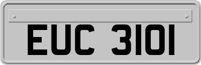 EUC3101