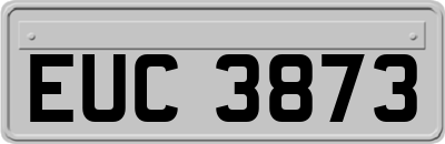 EUC3873