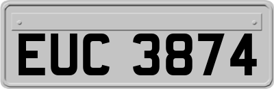 EUC3874