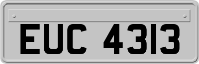 EUC4313