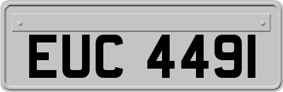 EUC4491