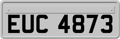 EUC4873