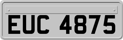 EUC4875