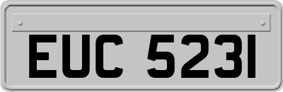 EUC5231