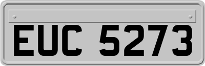 EUC5273
