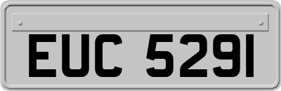 EUC5291
