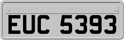 EUC5393