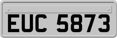 EUC5873