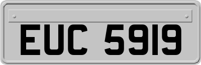 EUC5919